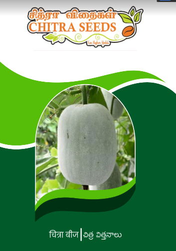 ash gourd 1 1 1 1 1 1 1 1 1 1 1 1